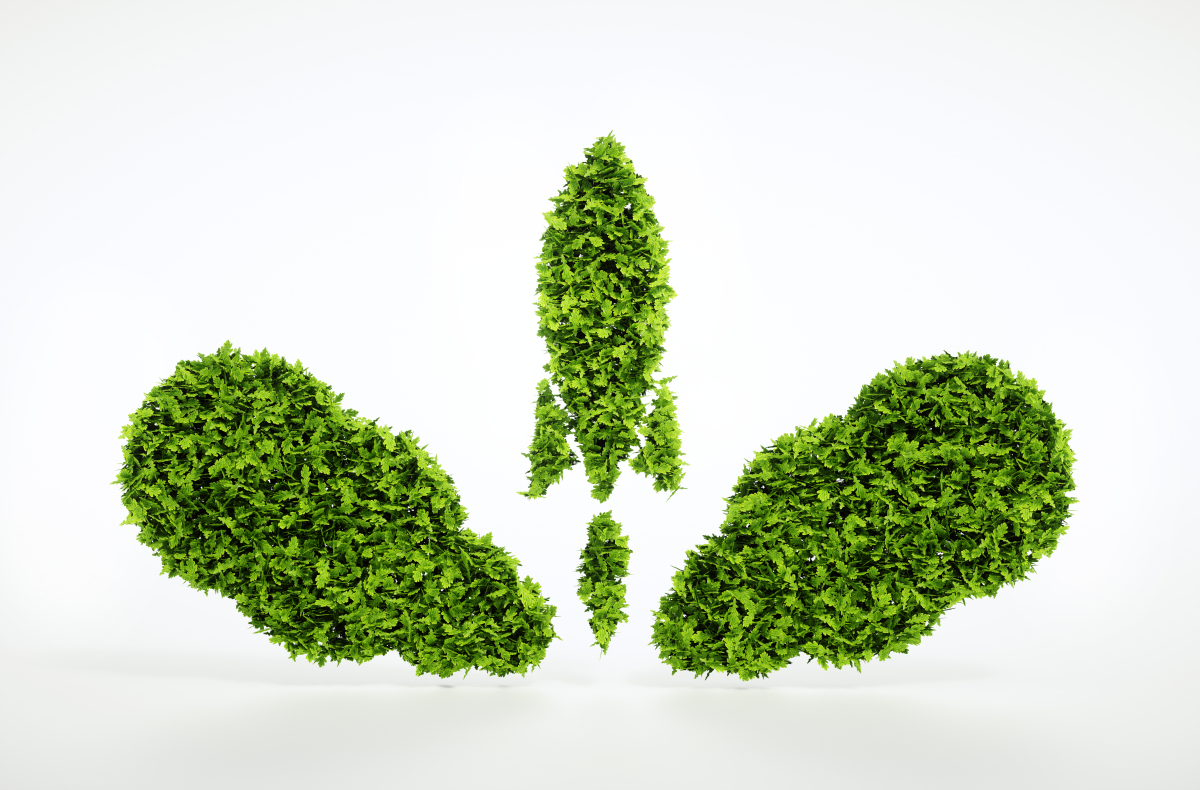 企業(yè)開設(shè)分支機(jī)構(gòu)，設(shè)立分公司的流程。